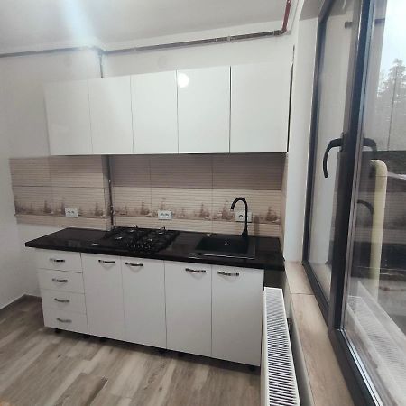 Lupeni Apartament Lupeni/Straja公寓 外观 照片